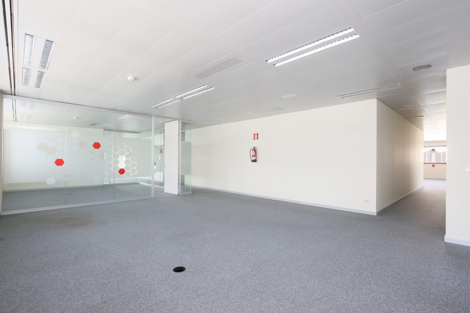 Espacio en Cetil 2